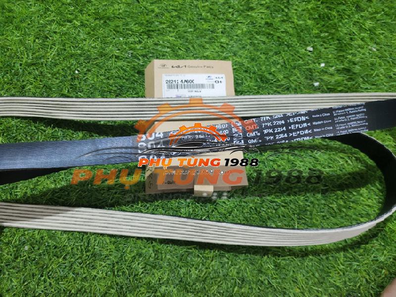 Dây curoa tổng Hyundai Solati Dây curoa tổng Hyundai Solati