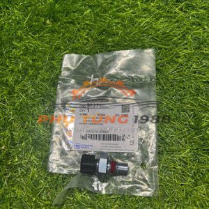 Cảm biến nhiệt độ nước Chevrolet Aveo