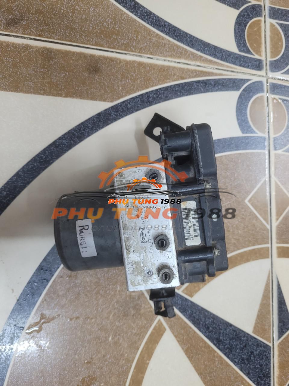 Cụm abs Everestaa