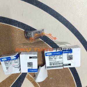 Bạc biên balie Ford Everest