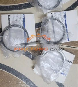 Xéc măng Ford Ecosport