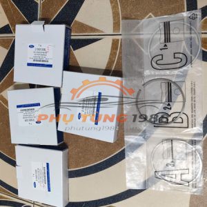 Xéc măng Ford Everest